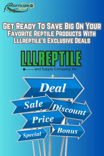 Get Ready To Save Big On Your Favorite Reptile Products With Lllreptile's Exclusive DealsGet Ready To Save Big On Your Favorite Reptile Products With Lllreptile's Exclusive Deals